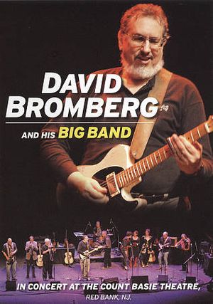 David Bromberg And His Big Band In Concert At The Count Basie Theatre, Red Bank, NJ. image number 0