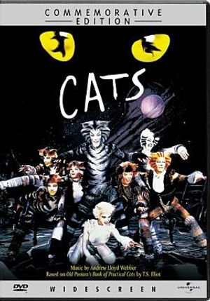 Cats image number 0