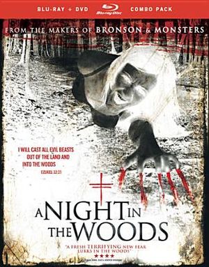 A Night in the Woods image number 0