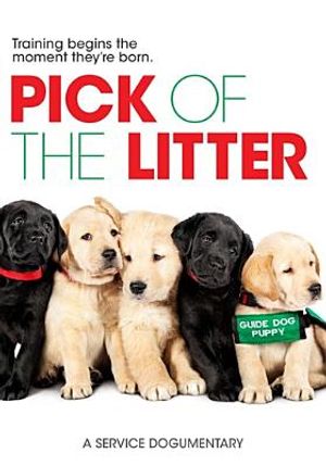 Pick of the Litter image number 0