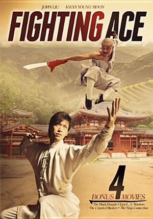 Fighting Ace image number 0
