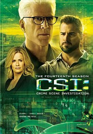 Csi: Crime Scene Investigation - The Fourteenth Season image number 0