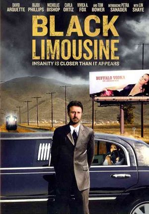 Black Limousine image number 0