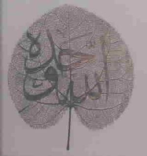 Ya Habib image number 0