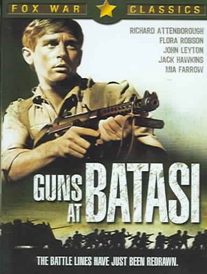 Guns at Batasi image number 0