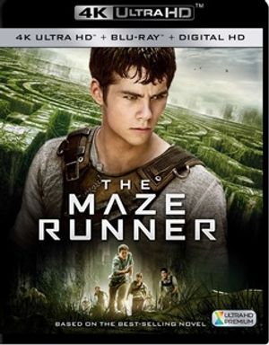 The Maze Runner image number 0