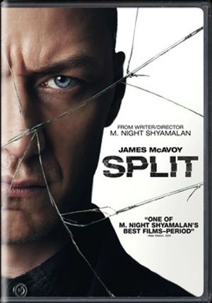 Split image number 0