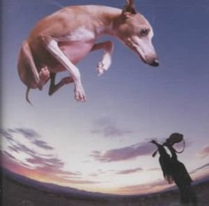 Flying Dog image number 0