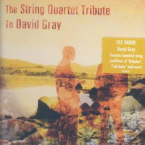 String Quartet Tribute to David Gray image number 0