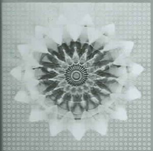 Voiceprint image number 0