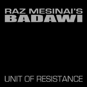 Unit of Resistance image number 0