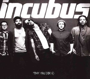 Trust Fall image number 0