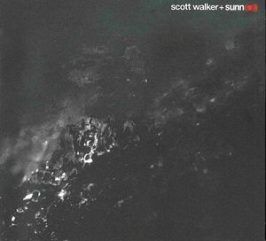 Soused image number 0