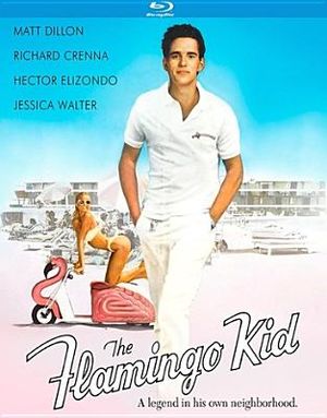 The Flamingo Kid image number 1