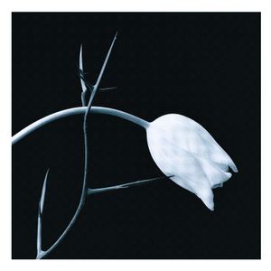 El Tango image number 0