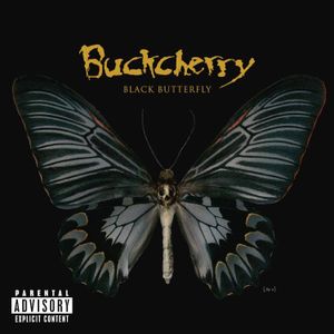 Black Butterfly [PA] image number 0