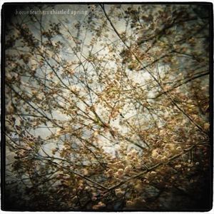 Thistled Spring LP image number 0