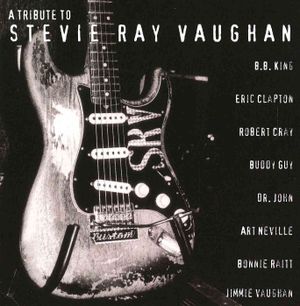 Tribute to Stevie Ray Vaughan image number 0