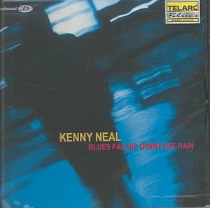 Blues Fallin Down Like Rain image number 0