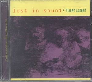 Lost in Sound image number 0