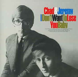 I Don't Want to Lose You Baby image number 0