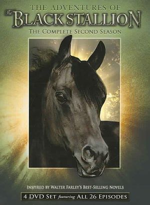Adventures of the Black Stallion: Season 2 image number 0