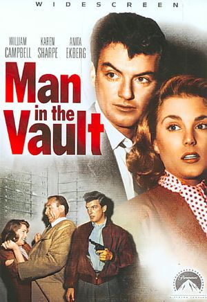 Man in the Vault image number 0