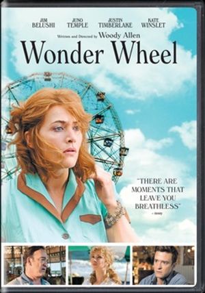 Wonder Wheel image number 0