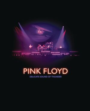 Pink Floyd: Delicate Sound of Thunder image number 0