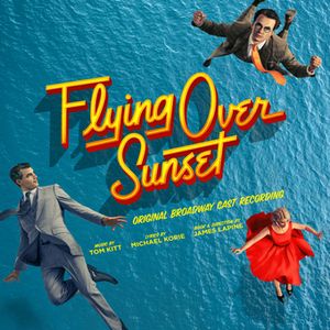Flying Over Sunset image number 0