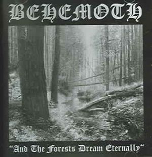 And The Forests Dream Eternally image number 0