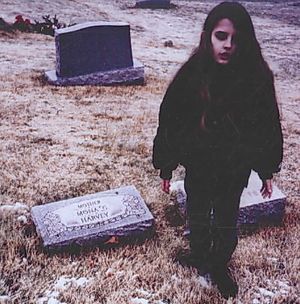 Crystal Castles image number 0