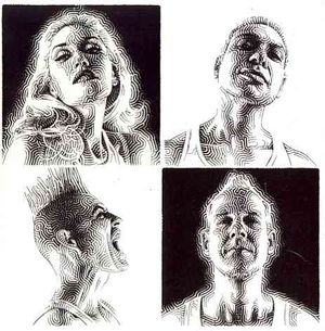 Push and Shove image number 0