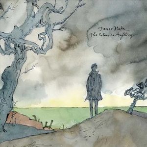 The Colour in Anything (2 Lp) image number 0