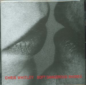 Soft Dangerous Shore image number 0