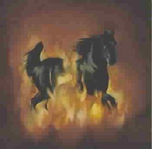 Besnard Lakes Are the Dark Horse image number 0