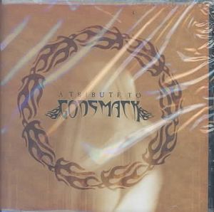 Tribute to Godsmack image number 0