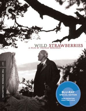 Wild Strawberries image number 0