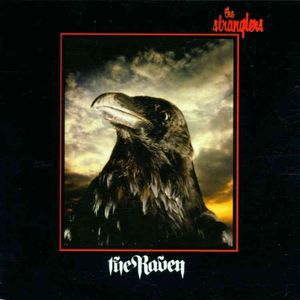 Raven image number 0