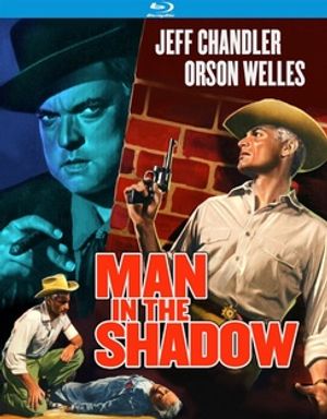 Man in the Shadow image number 0