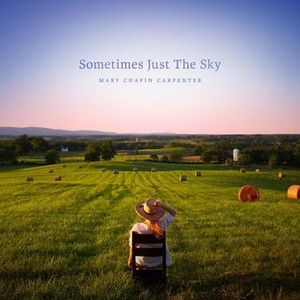 Sometimes Just the Sky image number 0