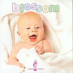 Bedtime Songs for Babies: Blossom image number 0