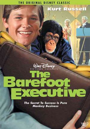 The Barefoot Executive image number 0