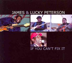 If You Can't Fix It image number 0
