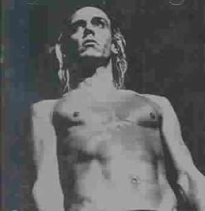 We Will Fall: The Iggy Pop Tribute image number 0
