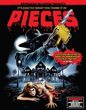 Pieces (Original Motion Picture Soundtrack) image number 0