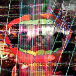 Animal Collective: Centipede Hz image number 0