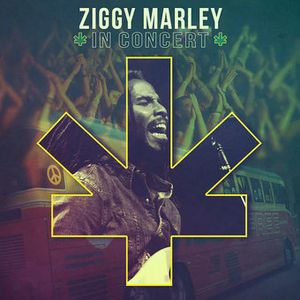 Ziggy Marley in Concert image number 0