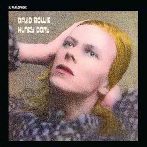 Hunky Dory image number 0