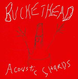 Acoustic Shards image number 0